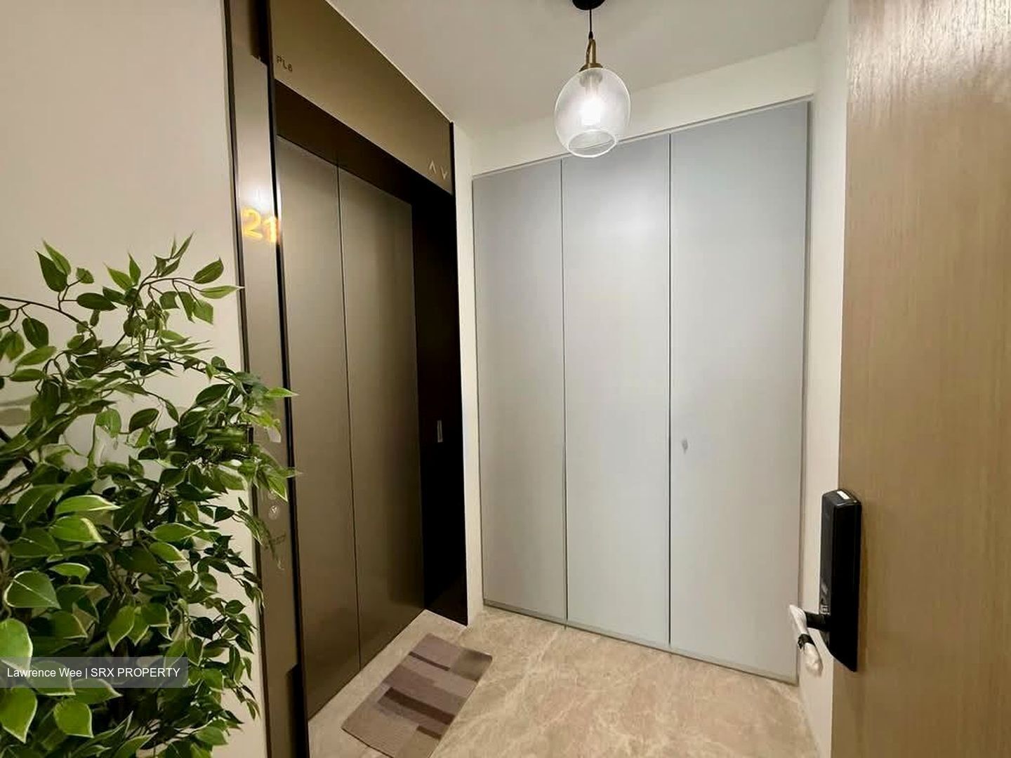 Amber Park (D15), Condominium #556155721